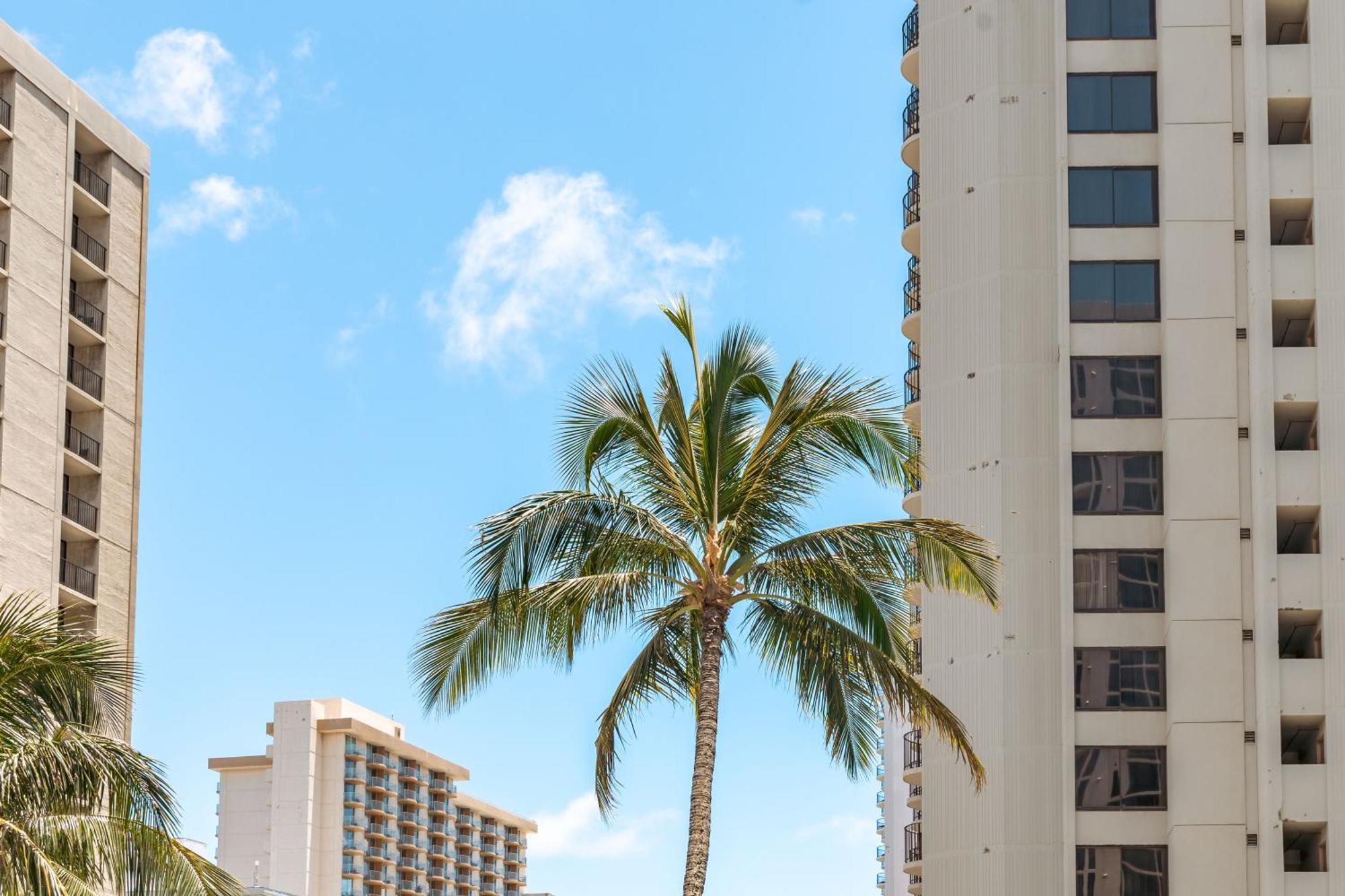 Waikiki Banyan 1Br With Great Ocean Views, Steps To Beach & Parking! Honolulu Eksteriør bilde
